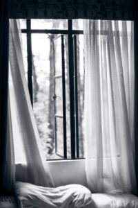 window, lace, curtain, nature, black, white, trees, bedroom