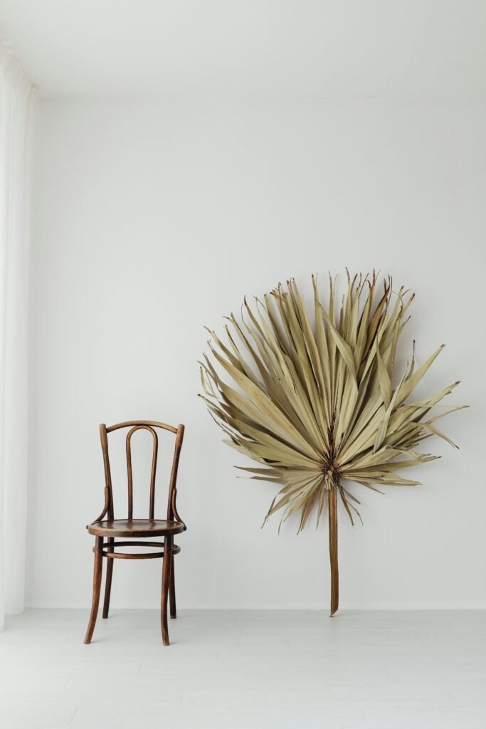 Elegant minimalist decor featuring a wooden chair and dried palm leaf against a white wall.